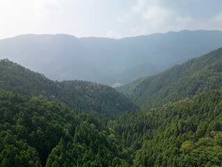 Naklejka premium A wide, aerial view of a lush, green valley surrounded by towering, forested mountains under a hazy sky. The landscape is dense with vegetation, creating a serene and natural scene.