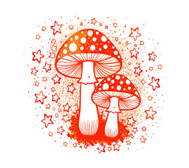 fly agaric mushrooms