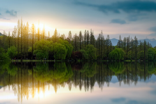 Sunset over serene lake with tall trees reflecting on water surface