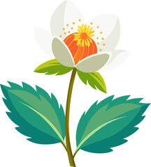 Obraz premium Mountain Avens