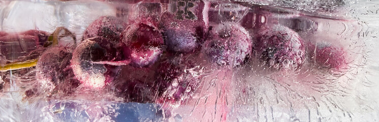 Fototapeta premium Panoramic View of Grapes Frozen in Ice