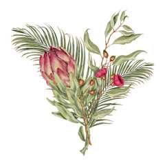 Watercolor botanical bouquet with pink protea, eucalyptus pods red gum blossoms and palm leaves in tropical style. for eco packaging wedding invitations branding cosmetics and jungle-inspired designs.