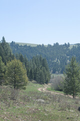 road in the mountains