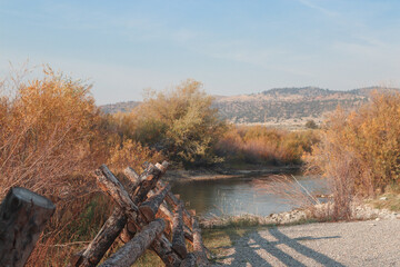 autumn in the forest