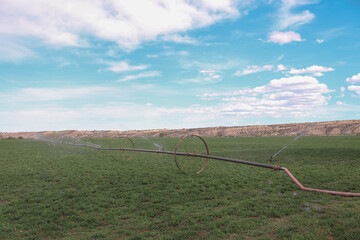 irrigation system in field