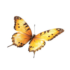 Obraz premium A vibrant orange butterfly in flight against a colorful striped background beautiful nature art