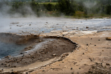 Geysir Island Vogel wärmt sich