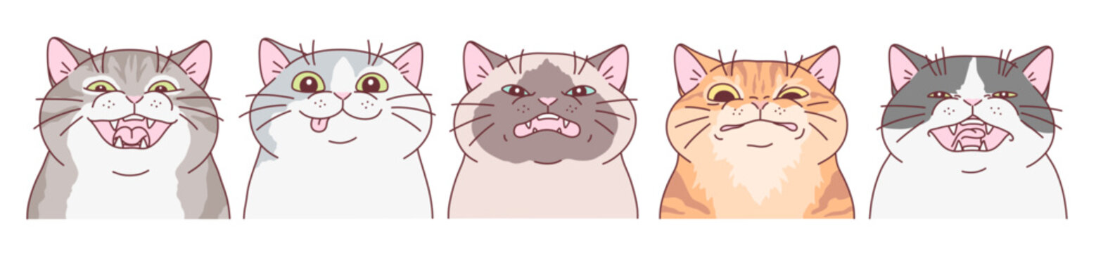 Naklejki Five cats with funny expressions. Cute cats series.