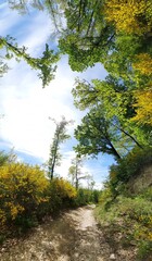 Sentiero di collina