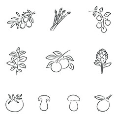 Line Art Italian Ingredients Icons, Food, Vegetables, Fruits, Olives, Asparagus, Tomatoes, Basil, Oranges, Lemons, Artichokes