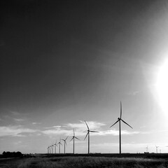 Winds