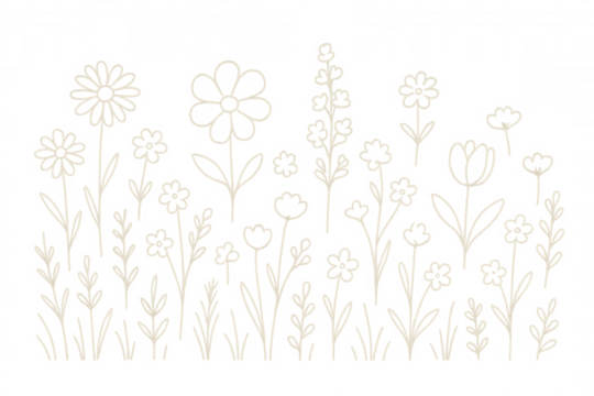 Hand-drawn flowers and plants with simple lines create a minimalist botanical illustration on a transparent background