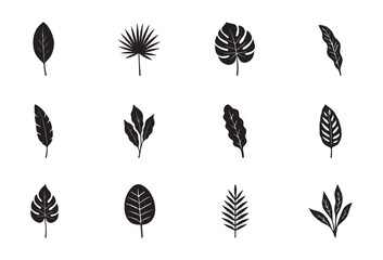 Stylized Tropical Leaves Vector Set