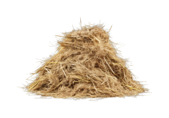 Harvesting straw piles agricultural field nature scene environment view isolated on transparent background, png