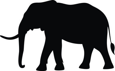 Fototapeta premium Elephant silhouette