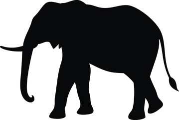 Fototapeta premium Elephant silhouette