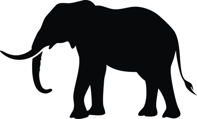 Fototapeta premium Elephant silhouette