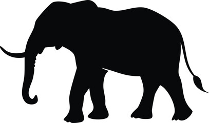 Obraz premium Elephant silhouette