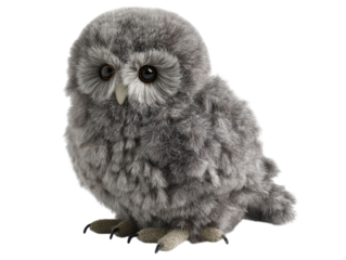 PNG of A fluffy gray owl with large, expressive brown eyes perched gracefully, showcasing its delicate features. - on Transparent or White BG