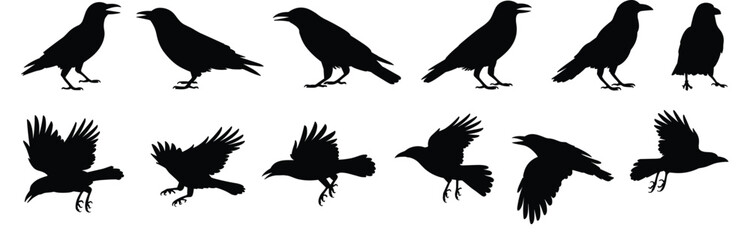Raven silhouette collection, flying birds, perched poses, black vector, wildlife illustration, nature theme, crow design, wings spread, artistic graphic