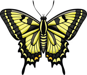 Beautiful yellow and black butterfly illustration with intricate wing patterns on white background