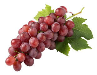 Fototapeta premium Fresh red grapes with green leaves isolated on white background natural fruit photography image