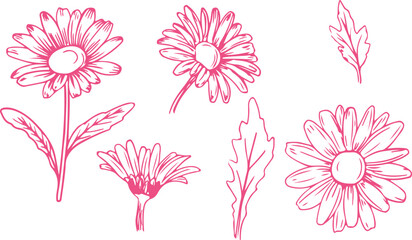 Pink Flower Doodles – Hand Drawn, Floral, Vector, Botanical, Petal, Leaf, Outline, Sketch, Garden, Nature, Plant, Illustration, Art, Decor, Decorative, Creative, Clipart