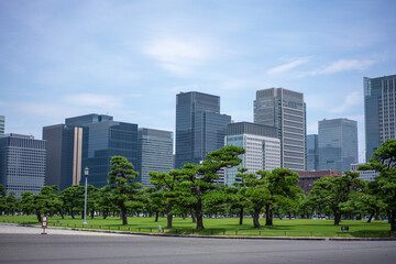 皇居外苑と丸の内のビル群