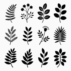 Collection of twelve black botanical silhouettes isolated on white background