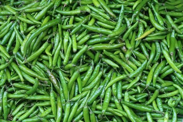 Green birds eye chilli or thai chilli peppers in the background	