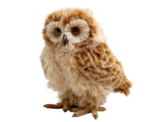 PNG of Adorable fluffy owl plush toy with large, expressive eyes, showcasing a warm and inviting appearance. - on Transparent or White BG