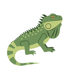 Realistic vector illustration of a green iguana with detailed texture and natural pose. Perfect for educational, zoo, wildlife, or tropical animal-themed design projects
