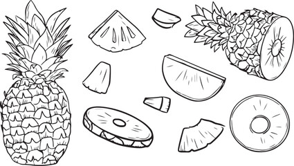 Fruit Doodle Set – Watermelon, Melon Slice, Tropical, Hand-Drawn, Vector, Outline, Kawaii, Cute, Summer, Fresh, Healthy, Snack, Cartoon, Black and White, Sketch, Illustration, Icon, Food
