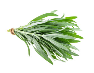 Fototapeta premium “Fresh Tarragon Bunch with Vibrant Green Leaves, isolated on a transparent background”.