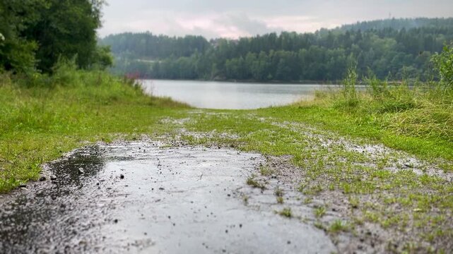 Scenic wet trail leading to calm forest lake after rainfall. Ideal for meditation, mindfulness, peaceful backdrops and inspirational text overlays.