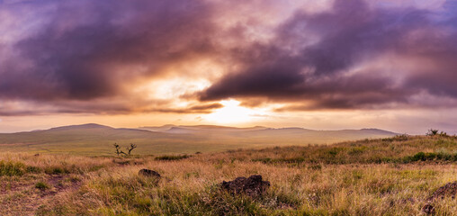 sunset over the field