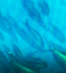 Close-up abstract texture of blue digital screen pixels. Ideal for backgrounds, tech designs, or...