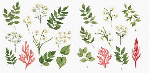 A collection of isolated watercolor botanical illustrations with green leaves, white flowers, and red plants on a transparent background.