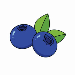 Vector cute blueberries is isolated on the white background