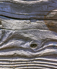 Macro image of wood knot on wood railing fence weathered by time & elements in Yellowstone National Park by Kepler Falls. Scratches & graffiti may show..