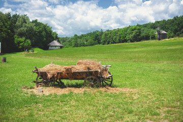 Village Hay cart against the backdrop of a village © martina87