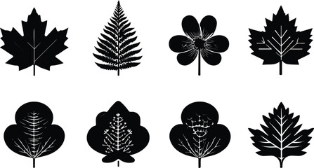 Silhouette botanical illustrations