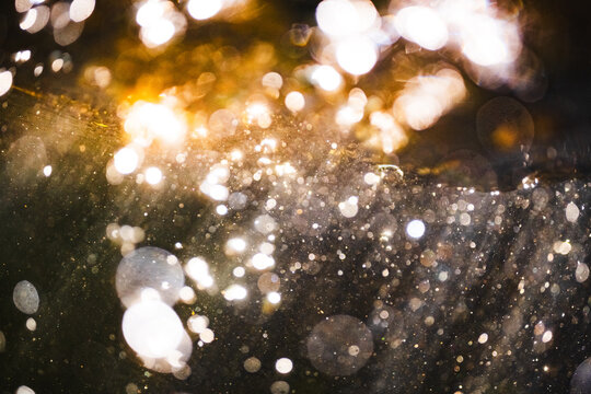 Sunlight streaming through water with abstract sparkling bubbles all around