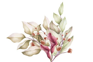A soft and elegant watercolor botanical illustration of a floral bouquet featuring delicate leaves and pink-hued calla lily-like flowers