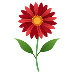 red flower isolated on white