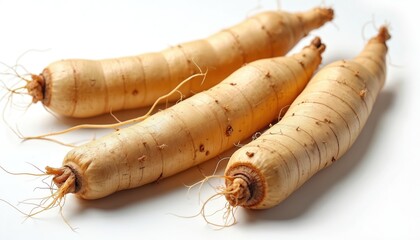 Three whole Korean ginseng roots, Panax ginseng, isolated on white background. Medicinal plants, known for natural energy, traditional healing, light tan color with visible fibrous rootlets, textured