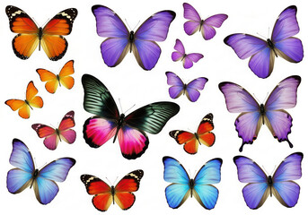 Collection of colorful butterflies in flight