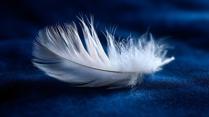 Delicate White Feather on Deep Blue Textured Background with Soft Bokeh Lighting