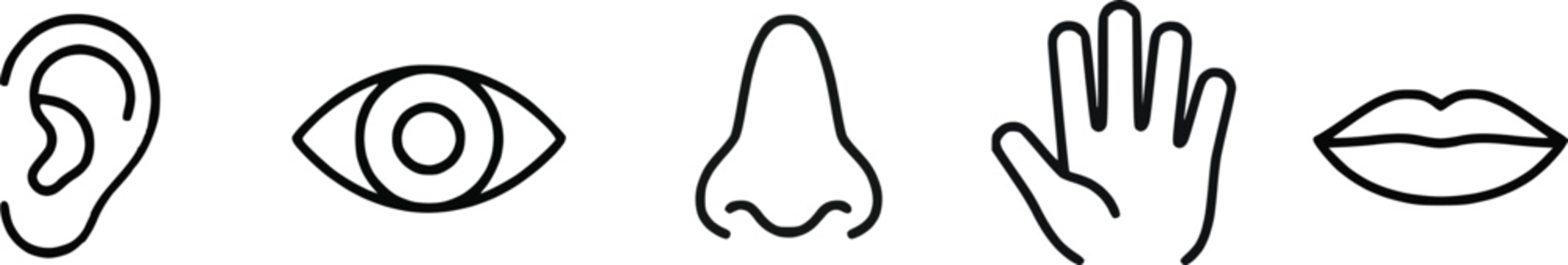 set icons collection of five human senses featuring ear, eye, nose, hand, and mouth displayed in a horizontal row , minimal style, emphasizing sensory perception, human anatomy. Concept of human sense