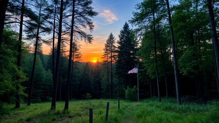 sunset in the forest